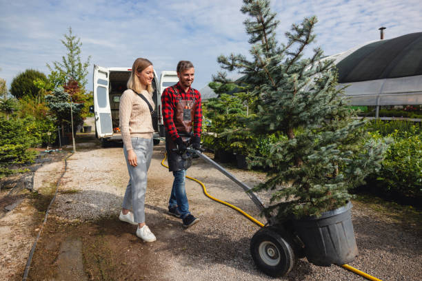 Somerset, PA Tree Service Company